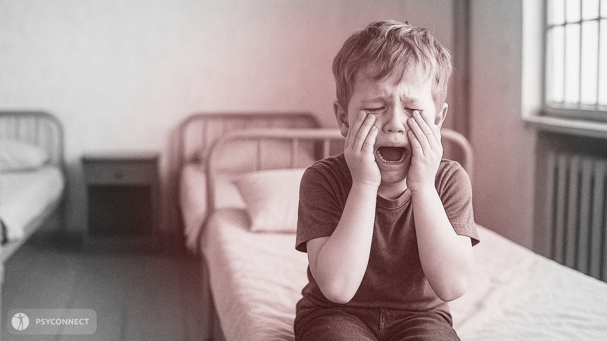 ����������� �������: ��� � �������� ���� ��������� � ������ ����