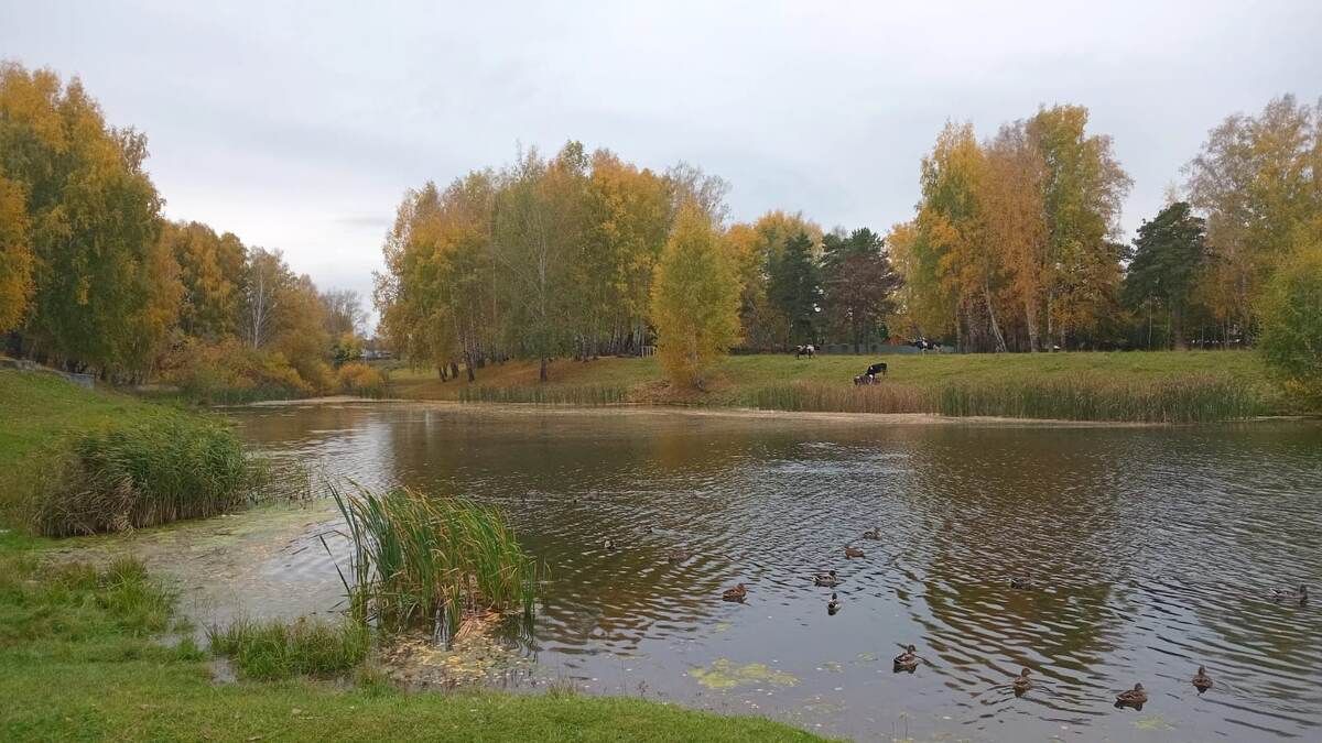 �����: ���� ������ ��� ����� �������?