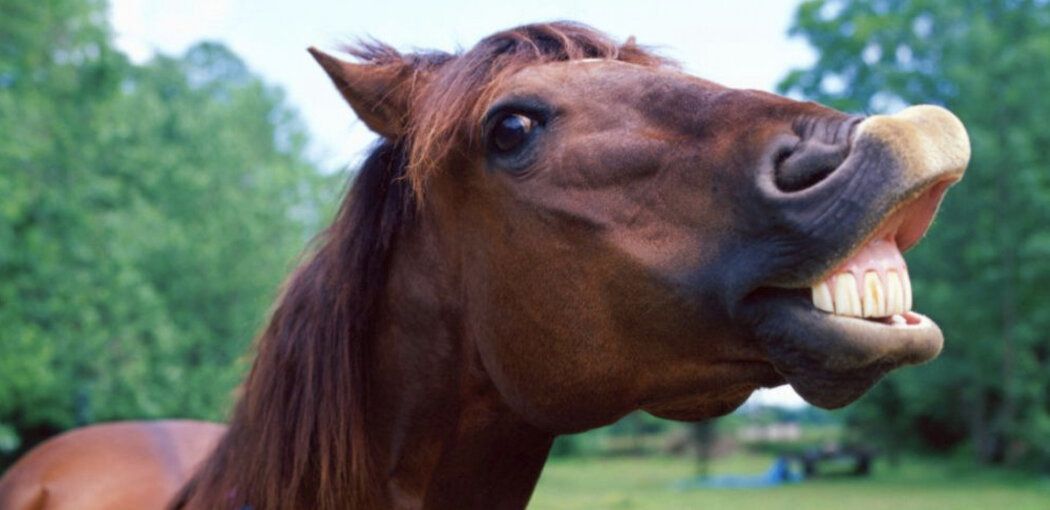 ������ ����� �����: ��� ������������� ���������� ��������� � ������