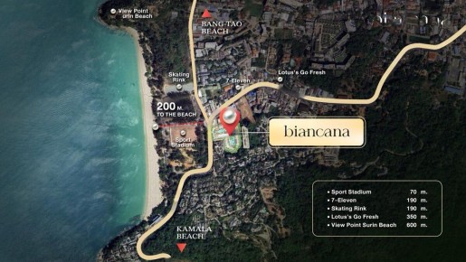 ��� ������� ������������ ����� �� �������