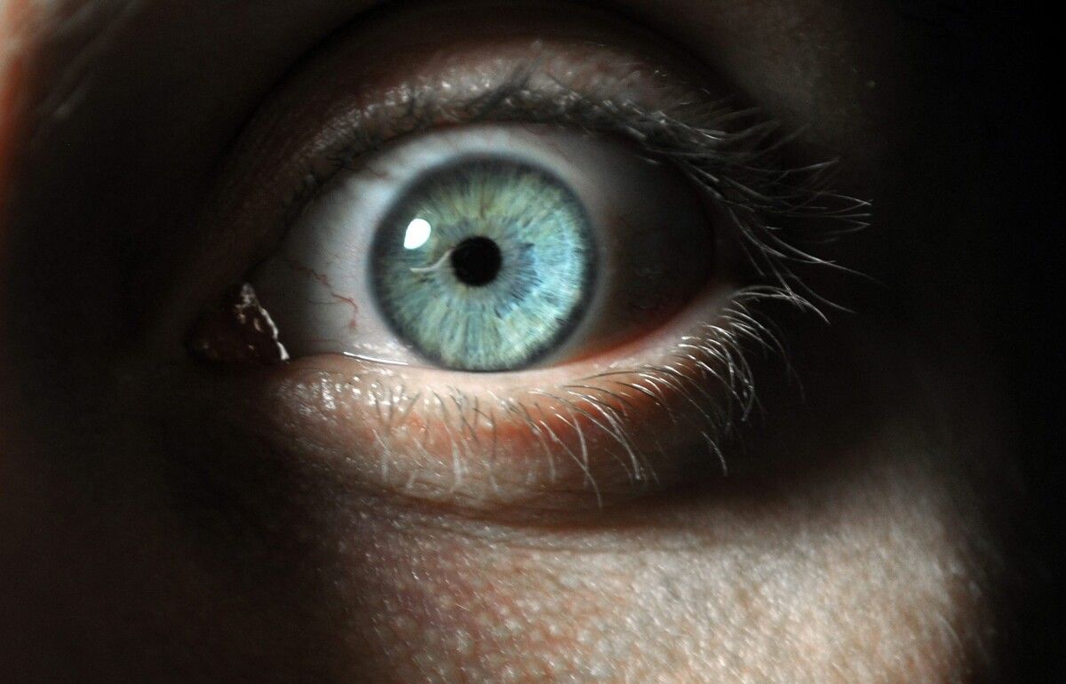 Почему некоторые люди не могут устоять перед желанием причинять боль животным?