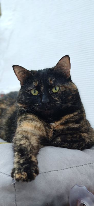 ����� ������� � ����, ����������� ������ � �������