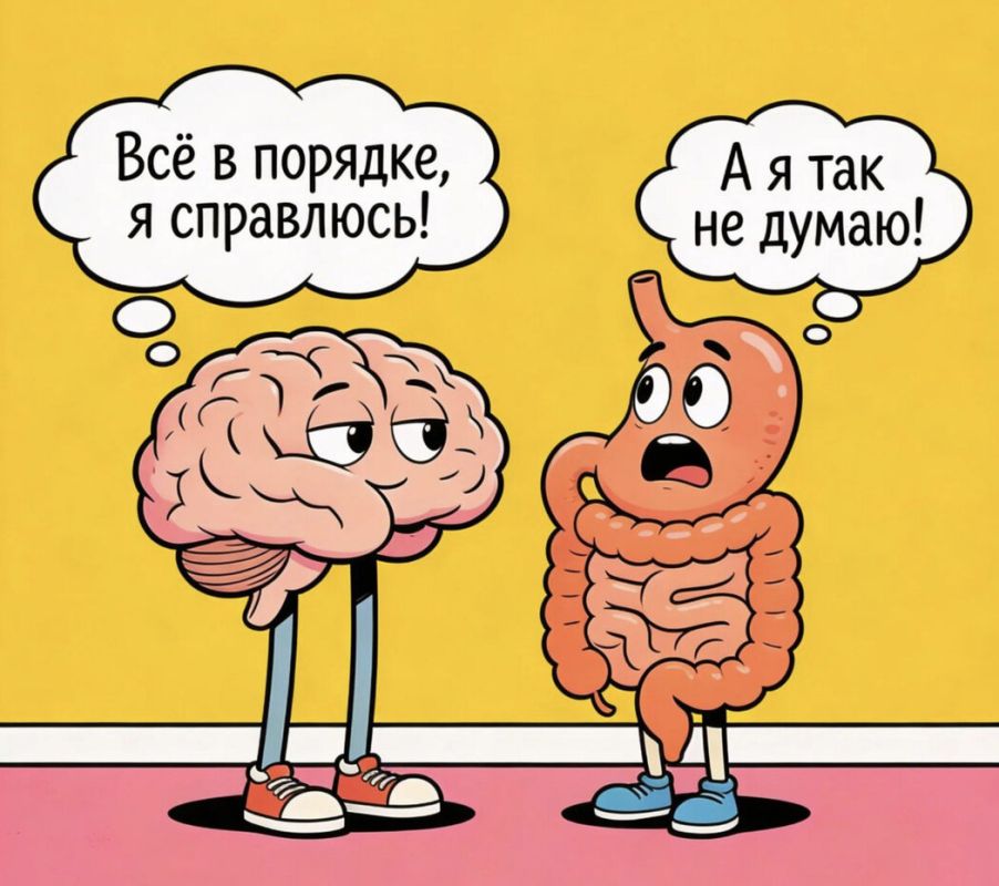 Почему кишечник называют вторым мозгом?