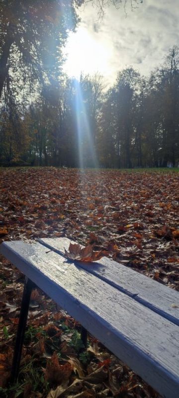 Когда забота шёпотом говорит о важном