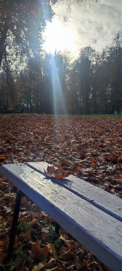 Когда забота шёпотом говорит о важном