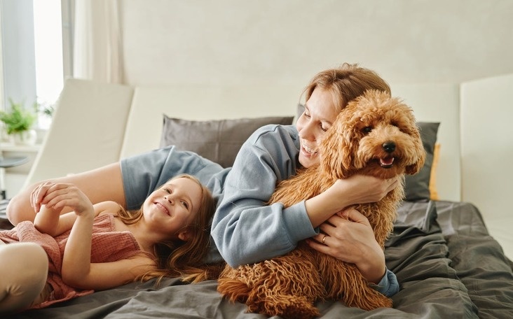 Связь между привязанностью к питомцам и просоциальными качествами людей