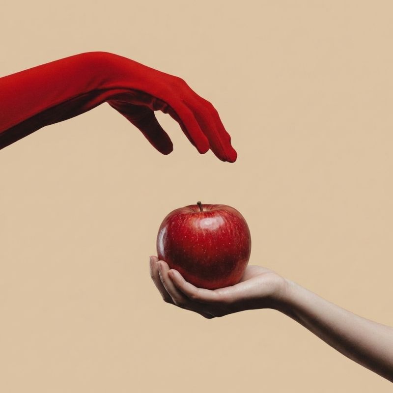 ������ ������� ����� ������������ � ������� �������������?