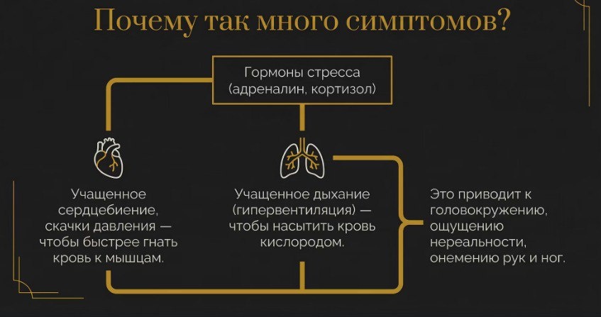 Как тело реагирует на тревогу: симптомы, которые стоит знать