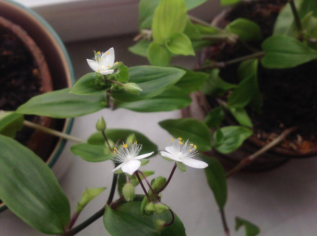 ����: ���� ��� ���� �� ���� � ������?