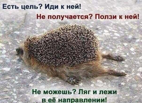 ������ �� ������� ���������� �����?