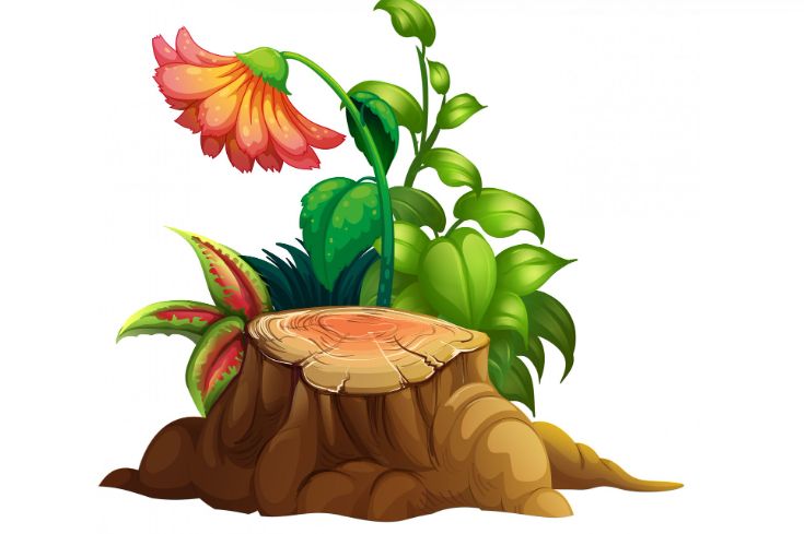 ��� ������� ������ �� ������� � ��� � ���� ������