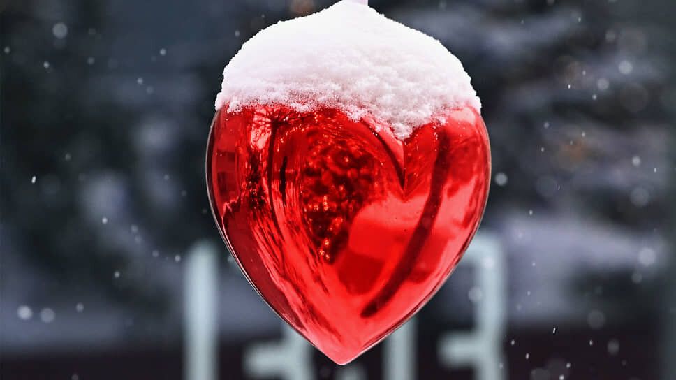 ���� ���� ����������: ��� ��������� 14 ������� � ������ ������� ����