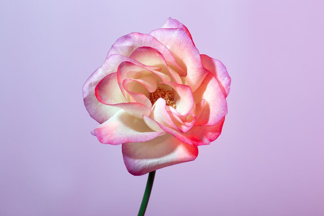 ��� �������� ��������� � ���������� �� �������� ��������