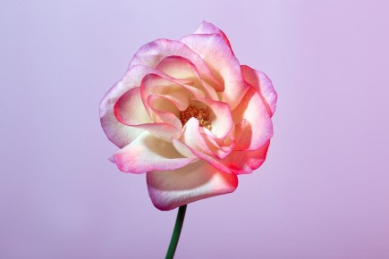 Как наладить отношения с родителями во взрослом возрасте