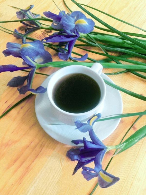 �������� ������� �����: ������ ����������� �� ����� �� ��������