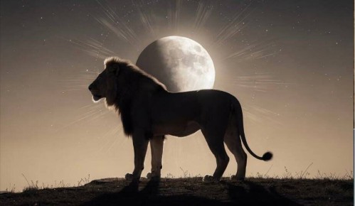 ��� ������ ������� � ����� �����?