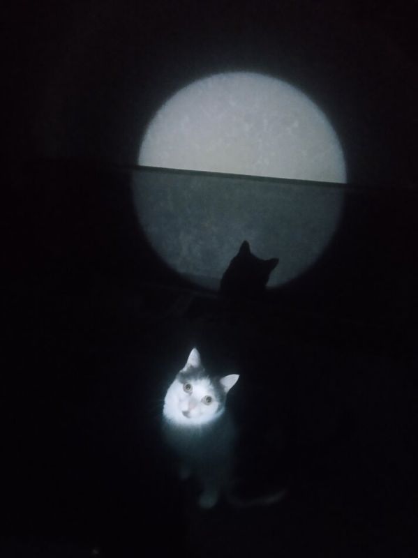 Столкновение с беспомощностью: путь к исцелению