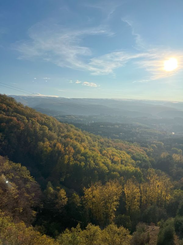 ���� �������