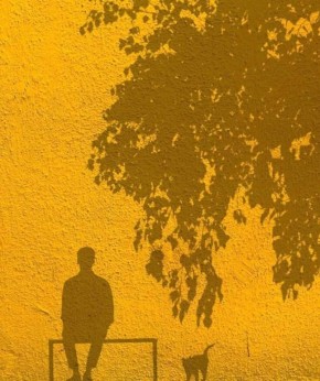 ������������ ���������