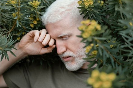 ������, ��������� ������: ��� ��������� ���������� ����