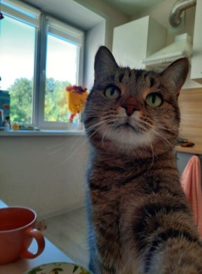 Как восстановить самооценку после расставания: полезные советы