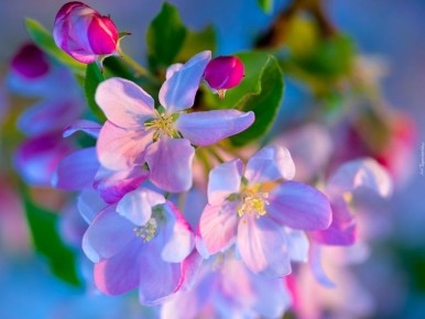 �������� ����������� ������: ��� ������� ���������� ������