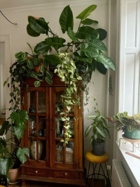 ������ ����� 30 ��� ���������� ������� ��������� �� ����������?