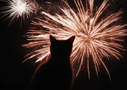 � ������� �������: ��� �������� ����� ������� ���� � ���� �����