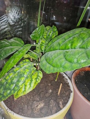 ��������� ����� � ����� ���������