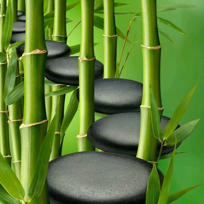 Как травма формирует наше восприятие мира