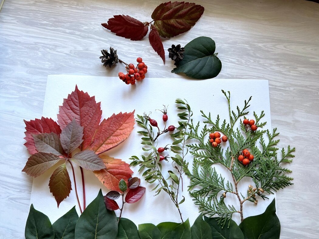 Творим с природой: как создать уникальную картину из подручных материалов