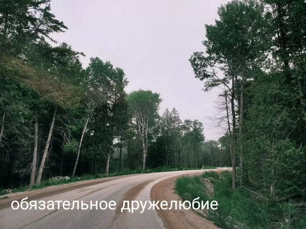 Дружелюбие: необходимость или иррациональное требование?