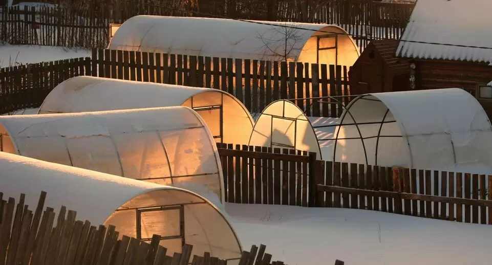 Когда забор между соседями может быть снесён: важные аспекты