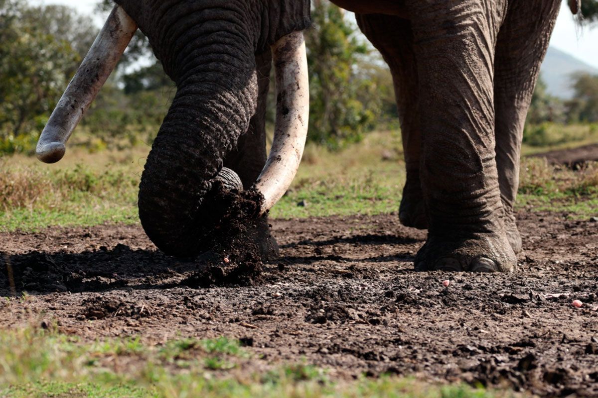 ��� ������� ��������� ���������� � ��������: ������� �����