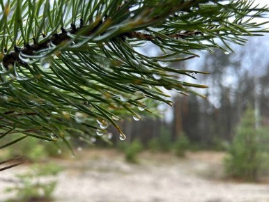 ���� � ���� � ���� � ������: ��� ���������� �� ��������