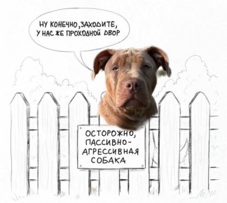 ��� ���������� � ��������� ���������: ������� ���� � ������� ��������