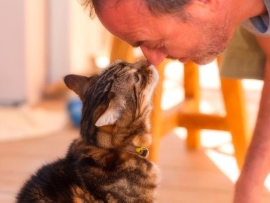 ��� ������� ���������� ������� ��� ����� �����