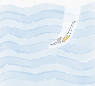 ���� ��� ������: ��� ������ �� �������� �������