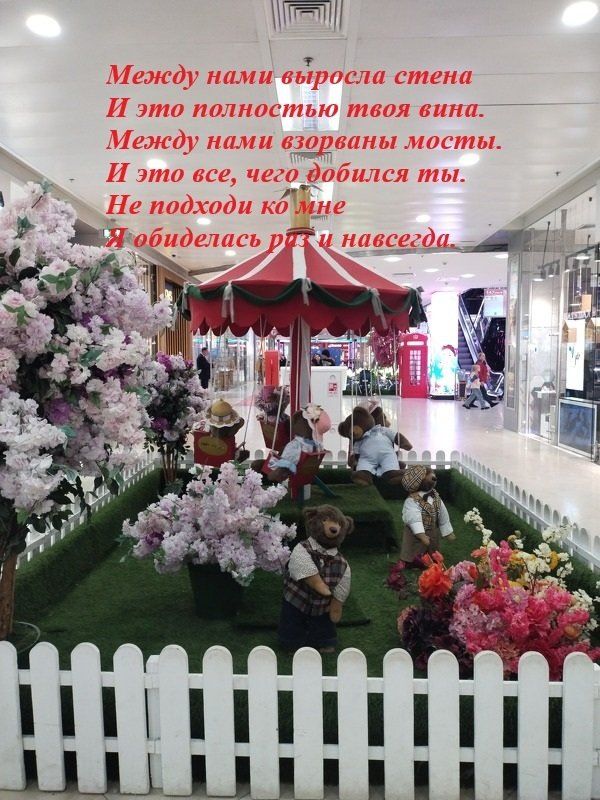 ����������� � ������� ����: ���� � �������� � ����������