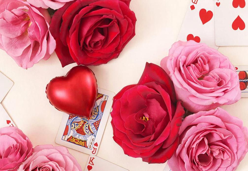 � ���� �����: ���� �������� ����