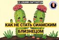 ��� �������� ������� �� ����� ���������: �������� ������ ���������